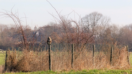 Foto Persbericht Wildervank