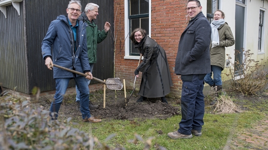 Planten Mispel Op Verhildersum