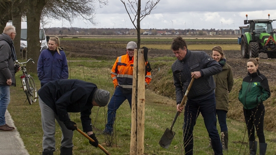 Beplanten Wijkenstelstel Wildervank