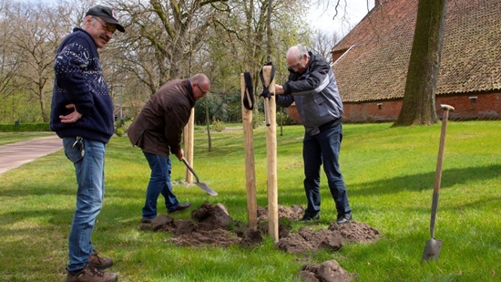 Aanplant laan- en fruitbomen buurtschap Ter Borg