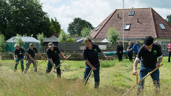 THUIS juli maaien