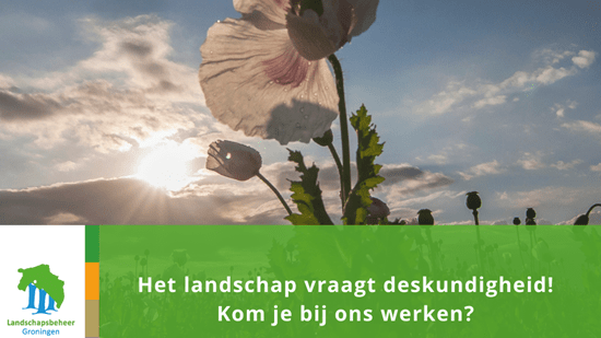 Deskundigheid in het landschap Normaal