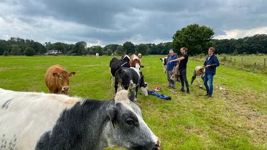 2E Workshop Pingoruines In Het Gorecht