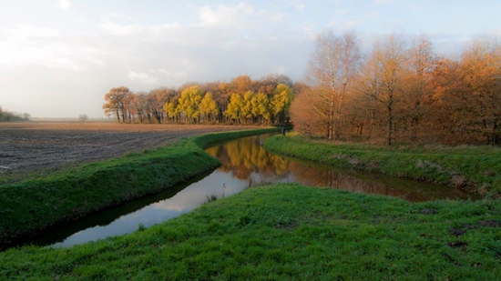 2017 Herfst Herstkleur