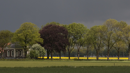 Essen In Het Waddenlandschap