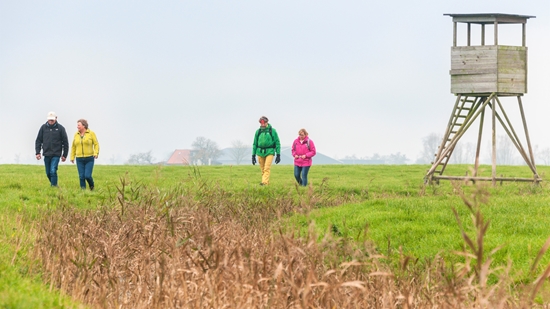 Headerfoto Persbericht