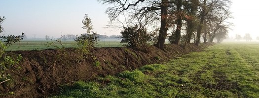 Aanvalsplan Landschapselementen Gorecht