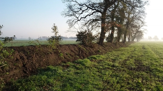 Aanvalsplan Landschapselementen Gorecht