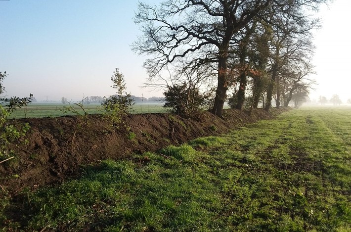 Aanvalsplan Landschapselementen Gorecht